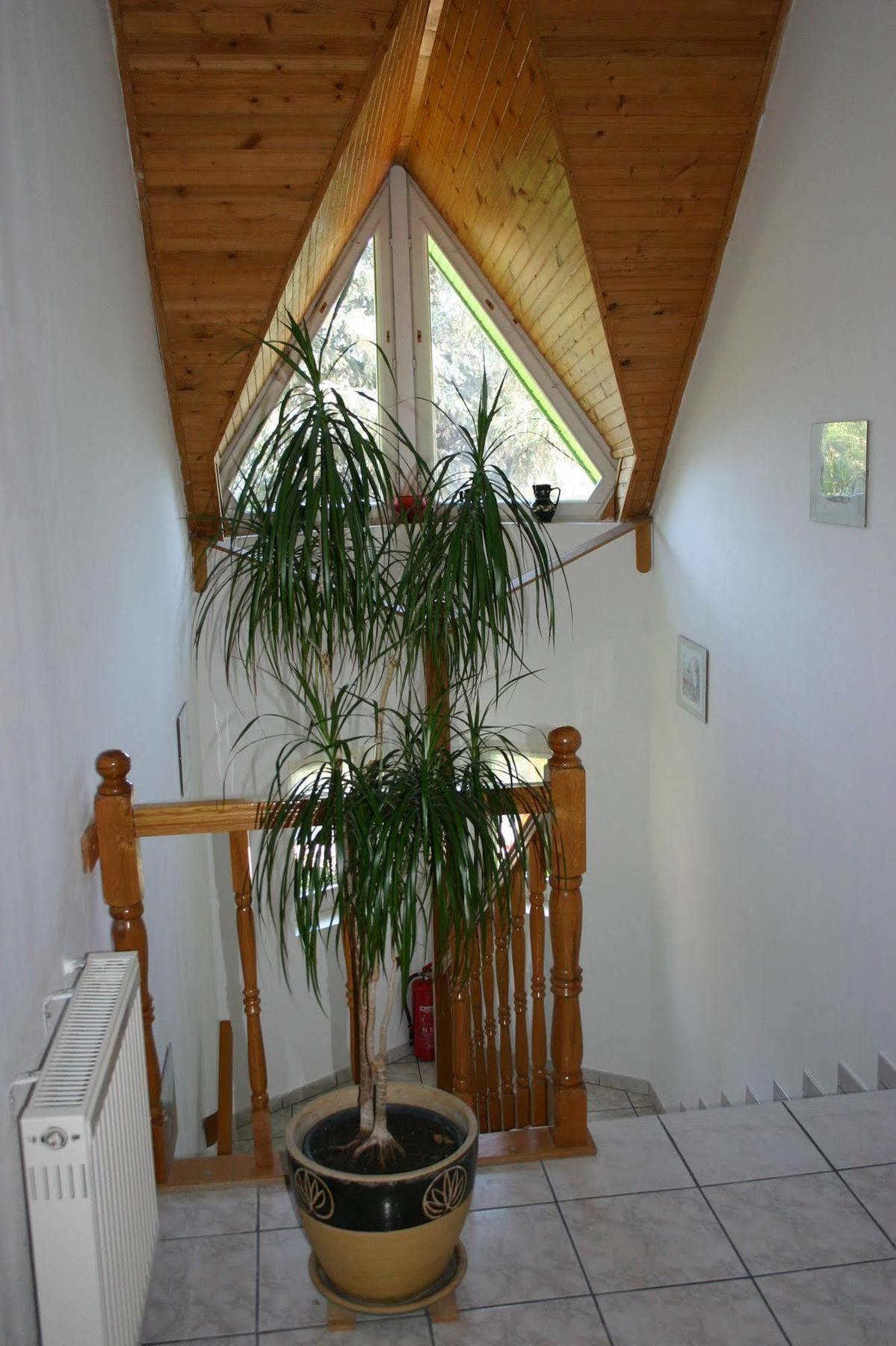 Lorelei Pension Adults Only Gyenesdias Exterior photo