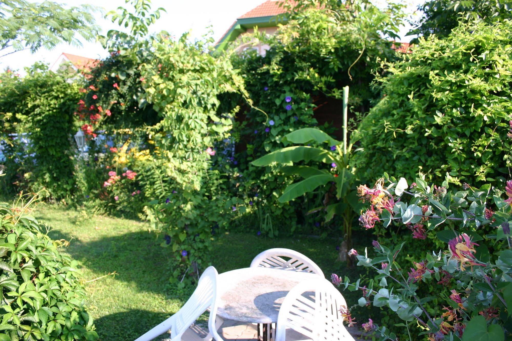 Lorelei Pension Adults Only Gyenesdias Exterior photo